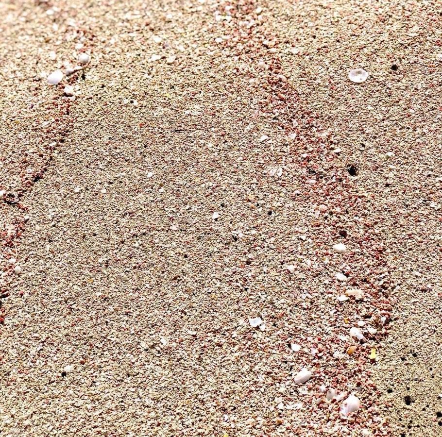 Raggi Di Sole Panzió Custonaci Kültér fotó
